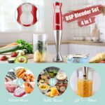 DSP Blender Set 4 in 1